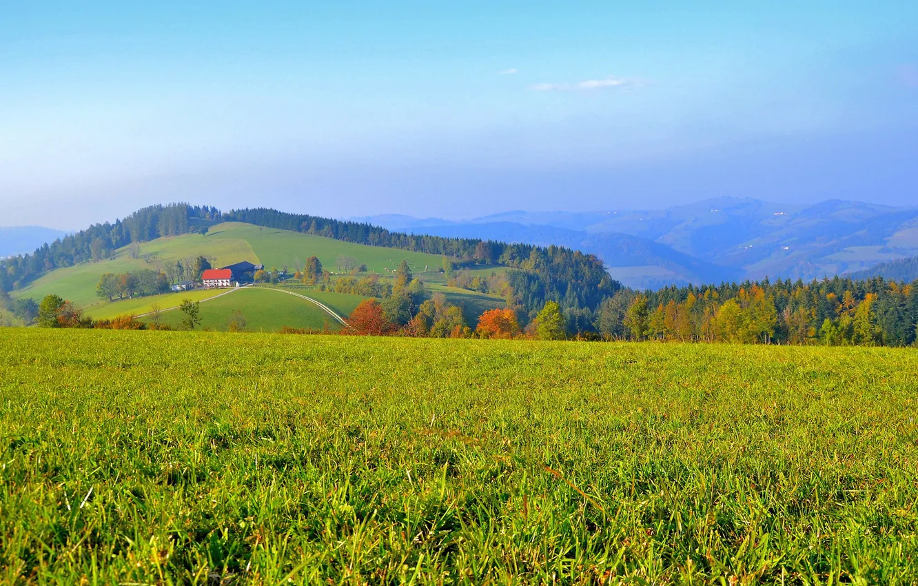 Photo wallpaper field, forest, hills, home