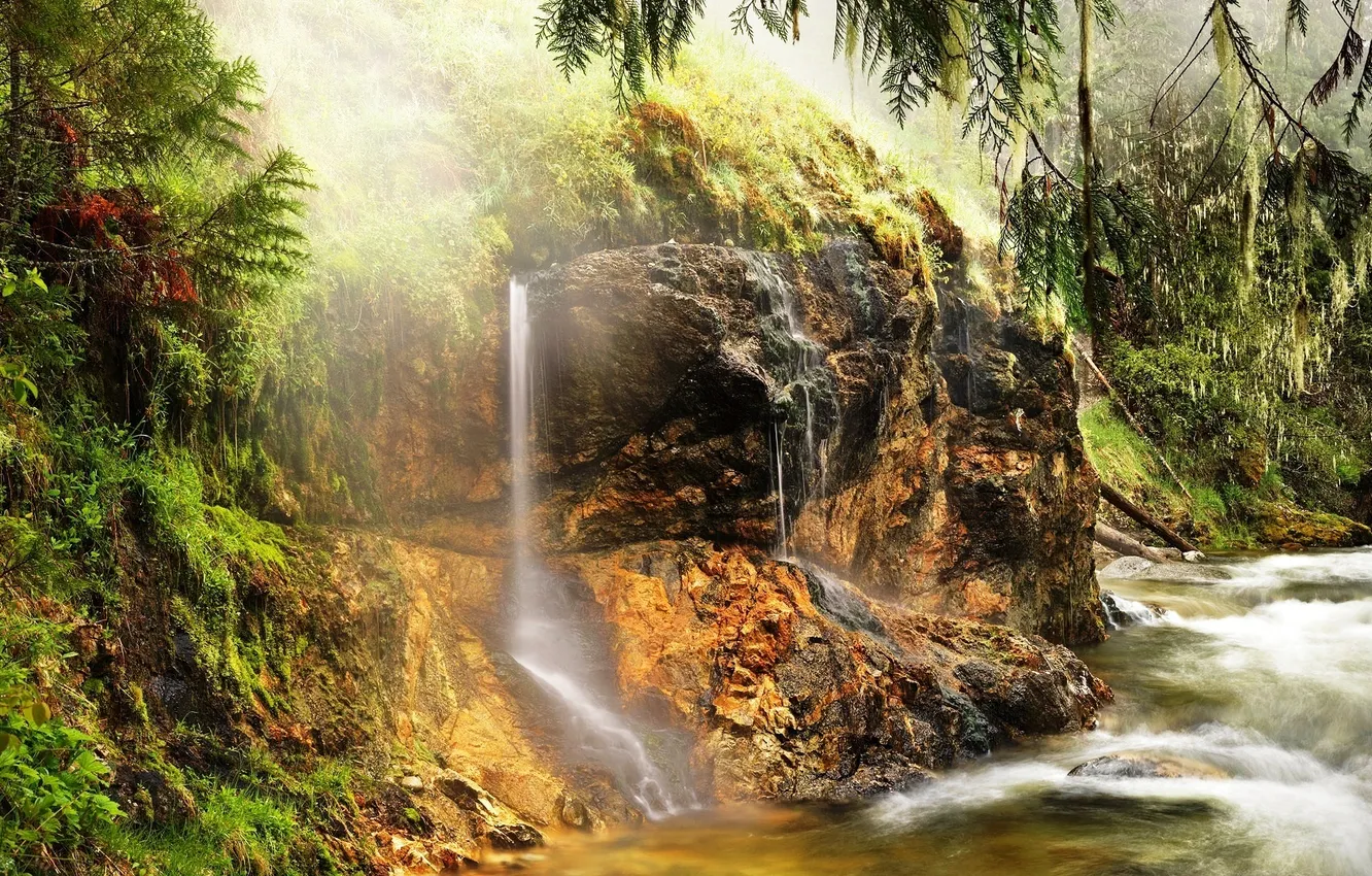 Photo wallpaper forest, river, stones, waterfall, trees.