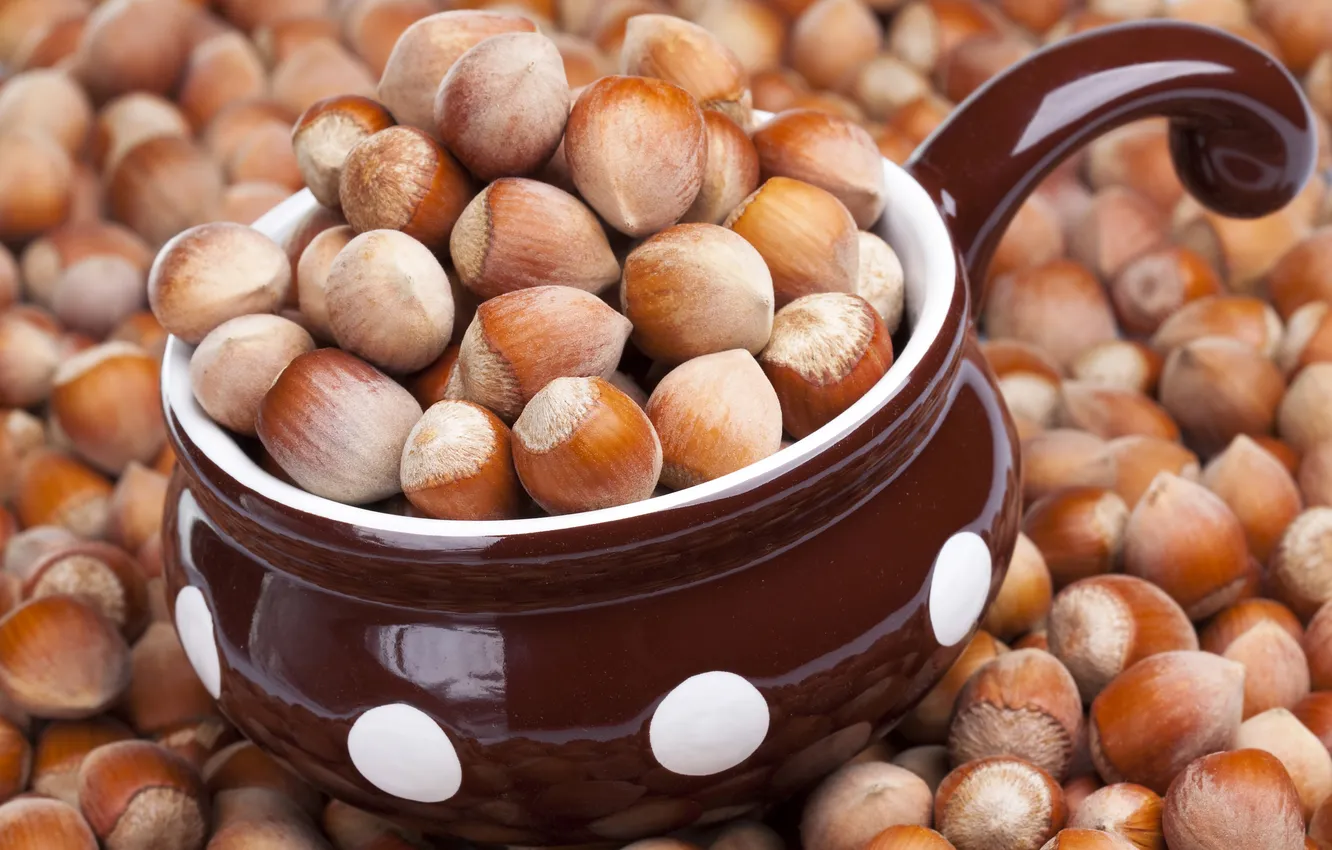 Photo wallpaper dishes, nuts, hazelnuts, forest