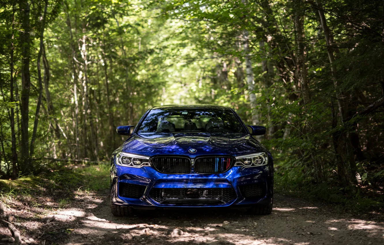 Photo wallpaper BMW, Blue, Front, Forest, Sight, F90