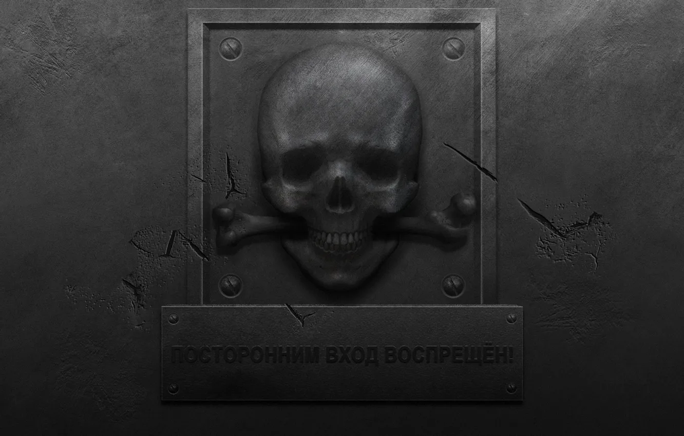Photo wallpaper cracked, wall, plate, skull, bones