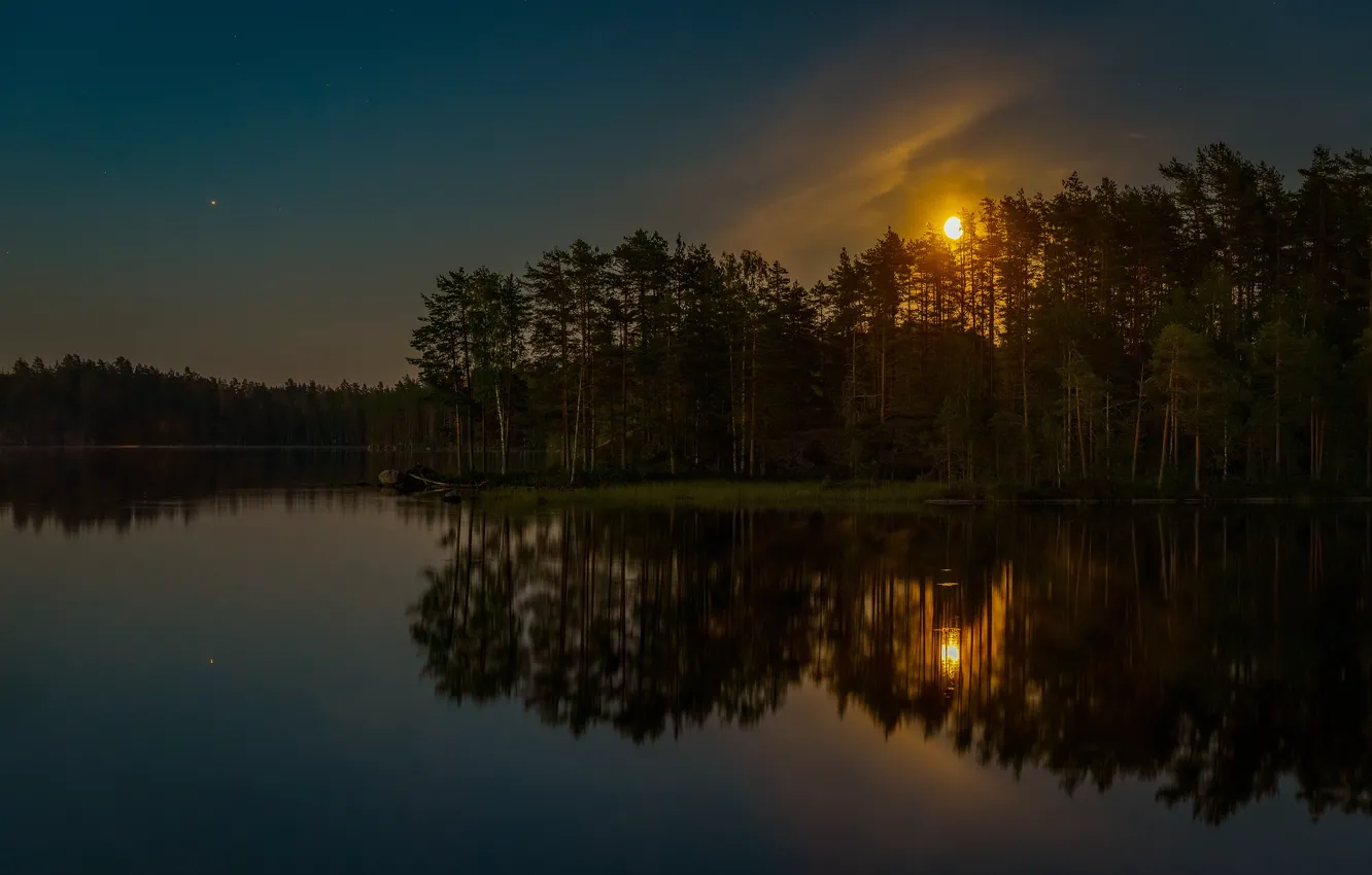 Photo wallpaper forest, the sky, stars, clouds, light, trees, night, lake