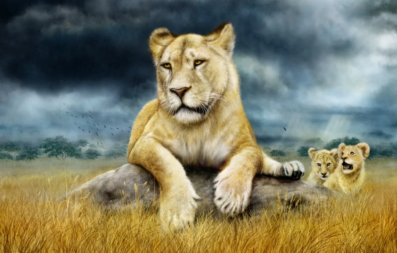 Photo wallpaper family, Savannah, the cubs, lioness