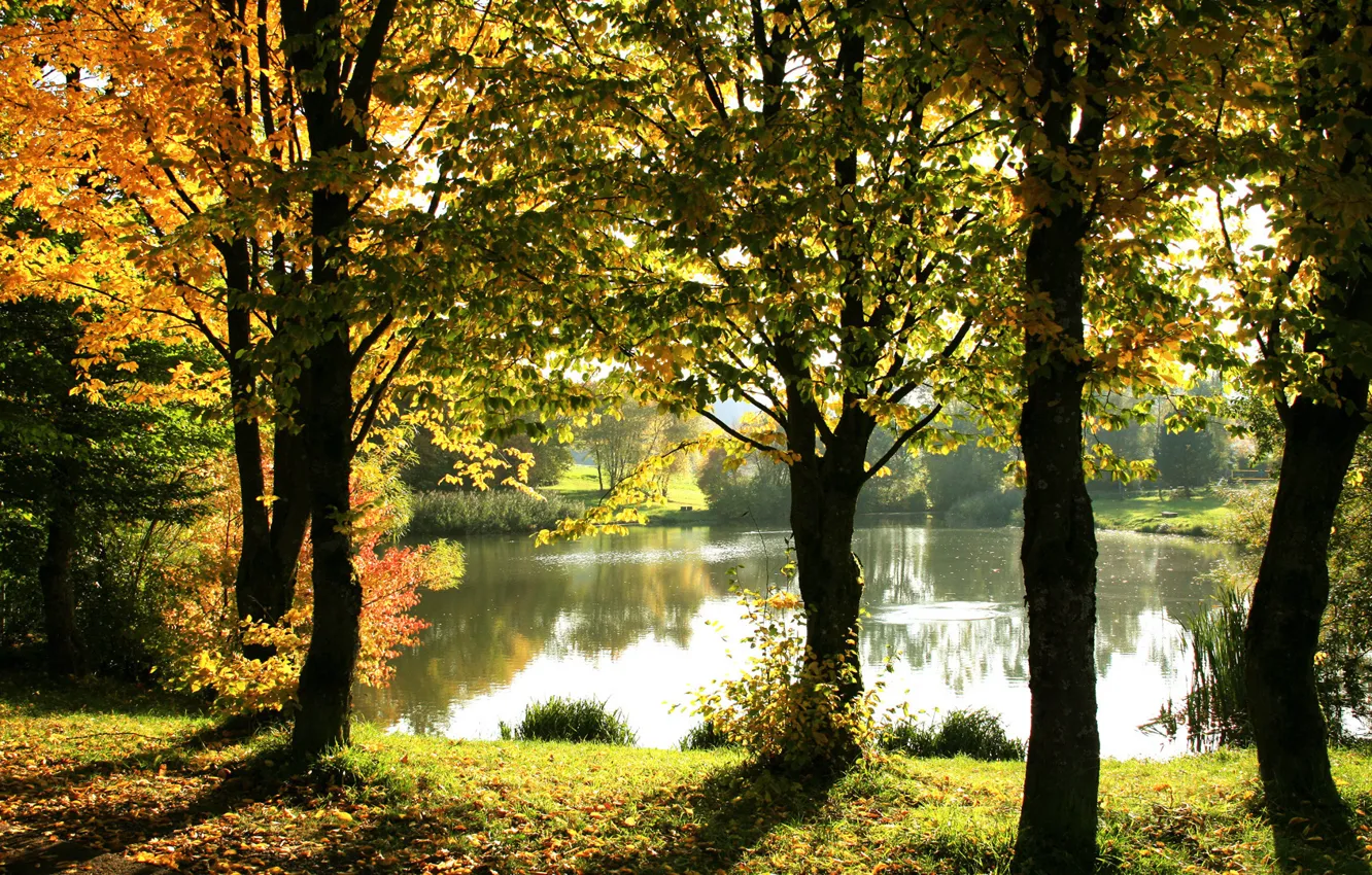 Photo wallpaper autumn, trees, lake, reflection, the fence, sunlight, Golden foliage