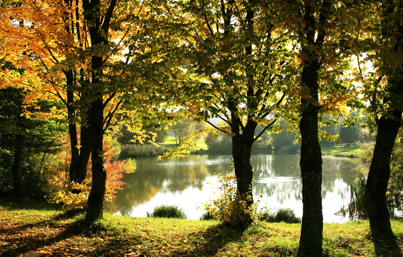 Photo wallpaper autumn, reflection, trees, lake, the fence, sunlight, Golden foliage