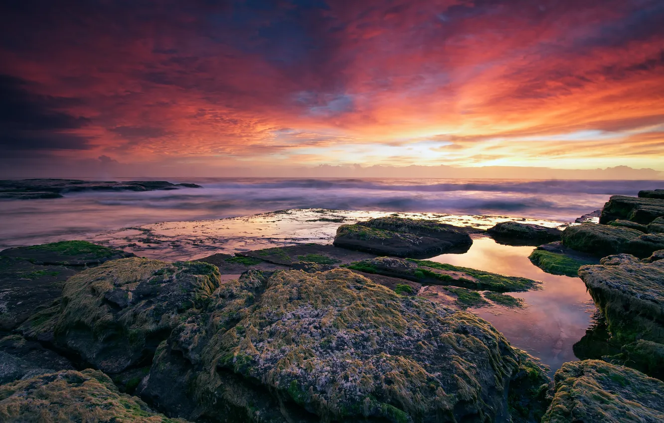 Photo wallpaper sea, the sky, algae, sunset, stones, the ocean, rocks