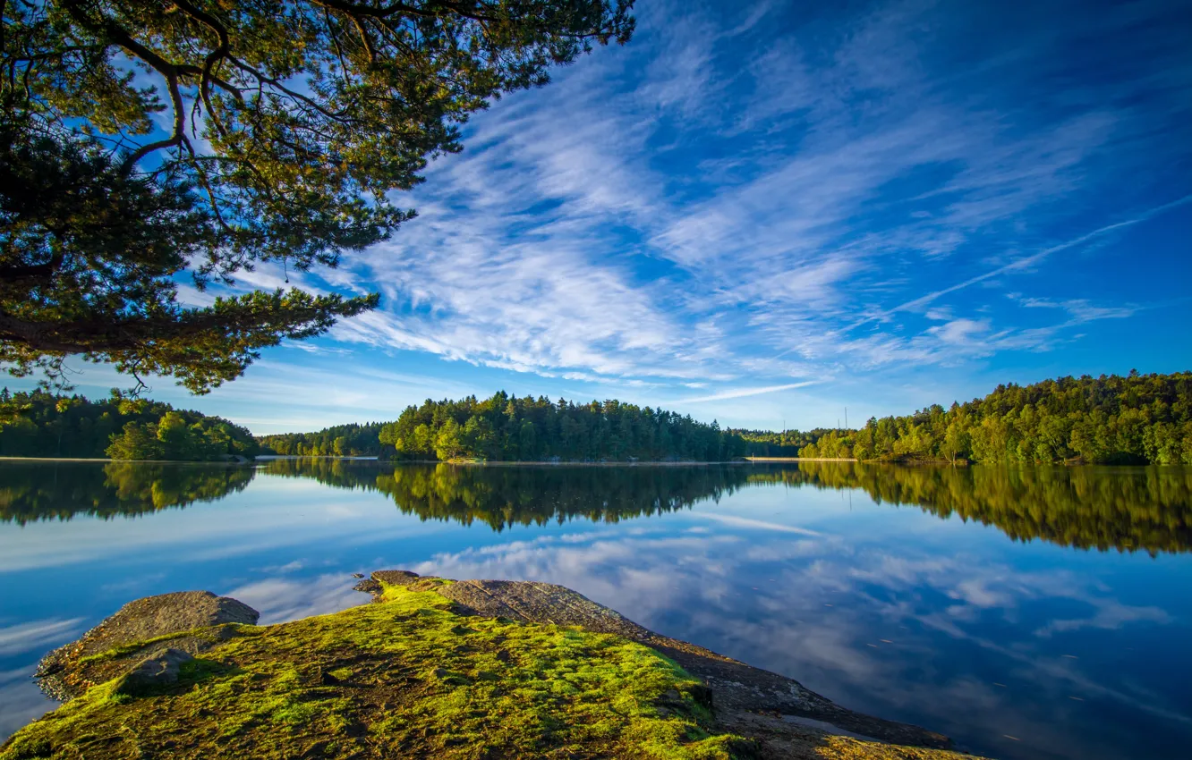 Photo wallpaper forest, the sky, branches, lake, Sweden, Sweden, Gothenburg, Gothenburg