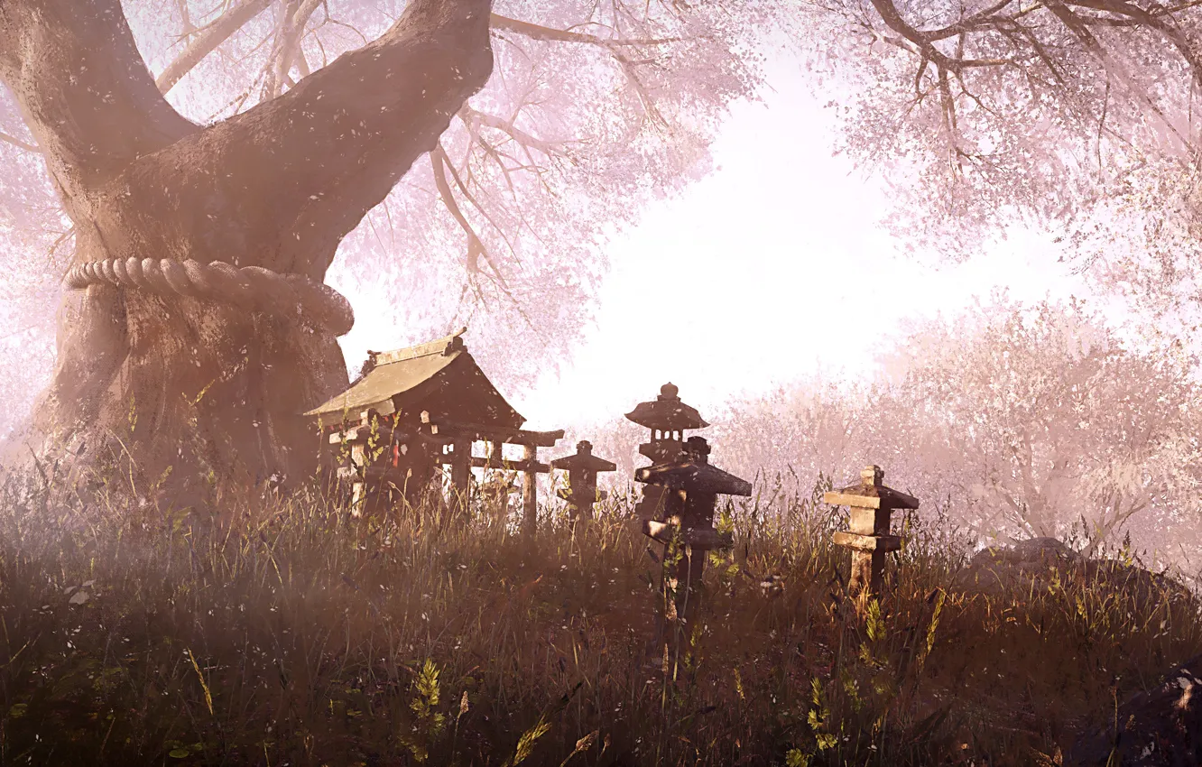 Photo wallpaper trees, flowering, sanctuary, Toro