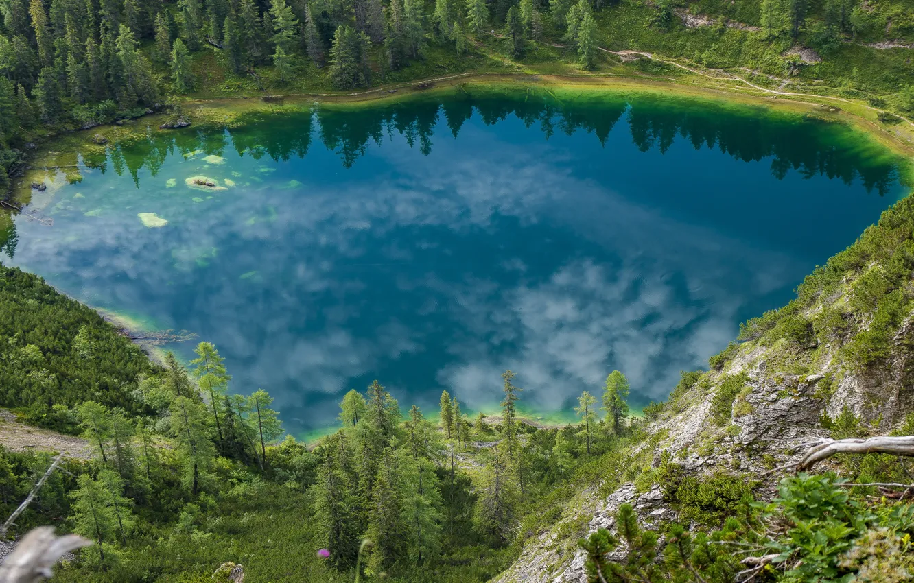 Photo wallpaper forest, mountains, lake, the