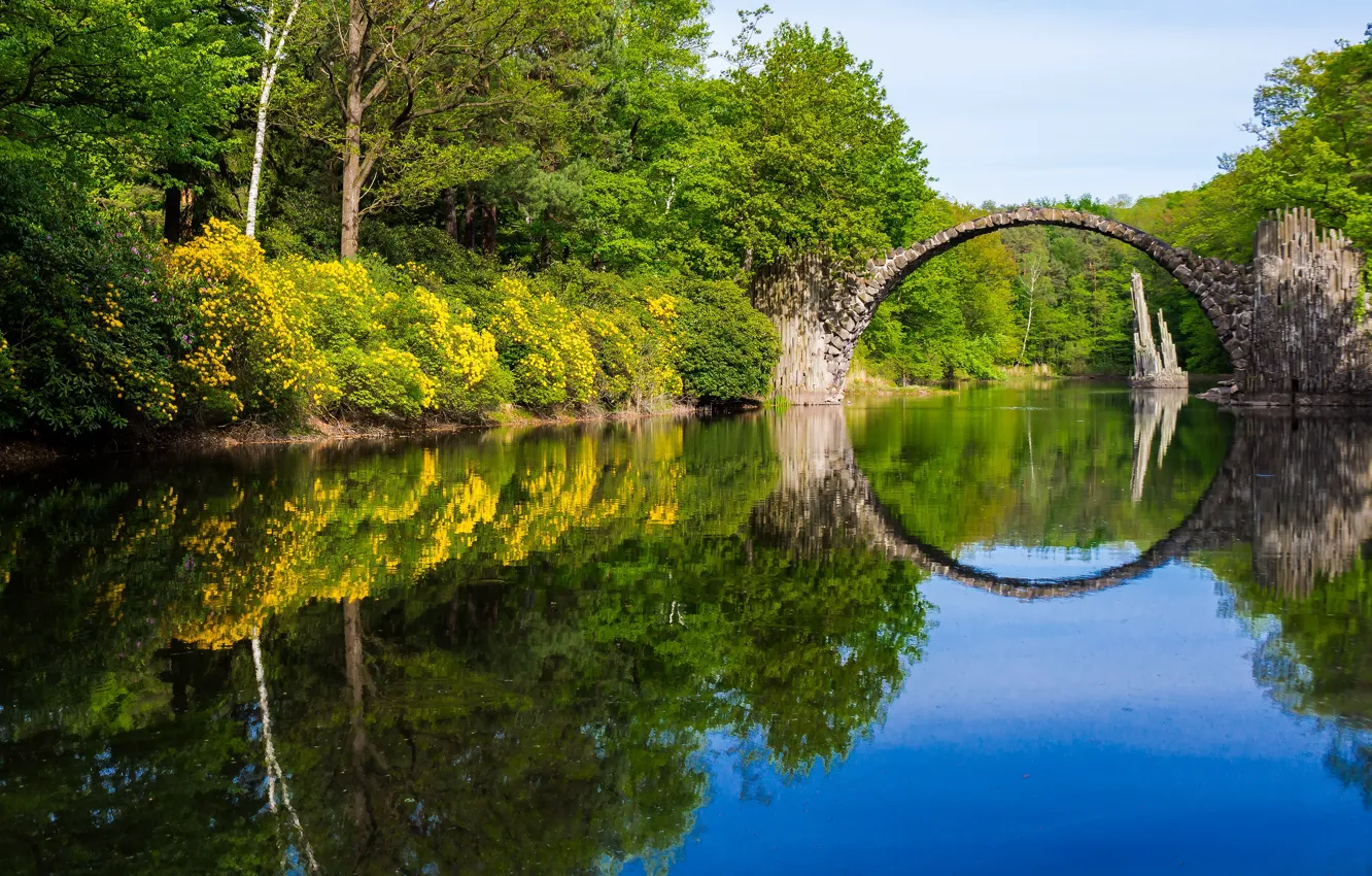 Photo wallpaper forest, trees, flowers, yellow, bridge, lake, reflection, shore