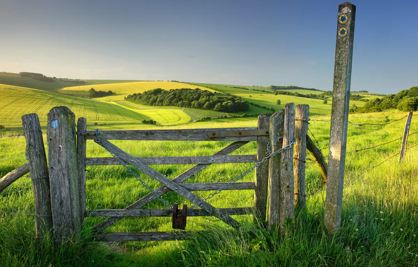 Photo wallpaper field, grass, landscape, nature, the fence, wicket