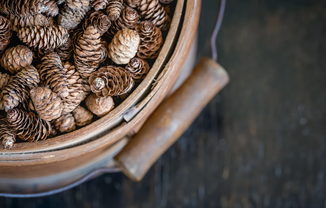 Photo wallpaper background, bucket, bumps