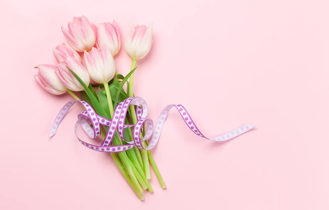 Photo wallpaper flowers, tulips, pink background, pink, flowers, background, tulips, spring