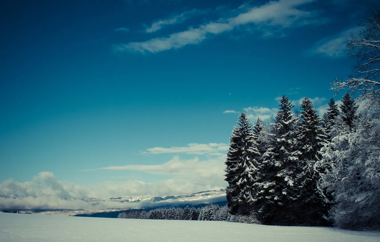 Photo wallpaper forest, snow, mountains