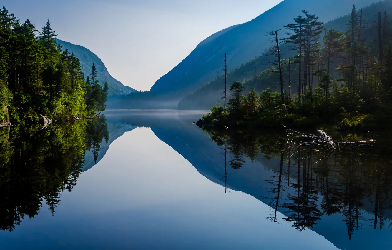 Photo wallpaper forest, the sky, trees, mountains, lake