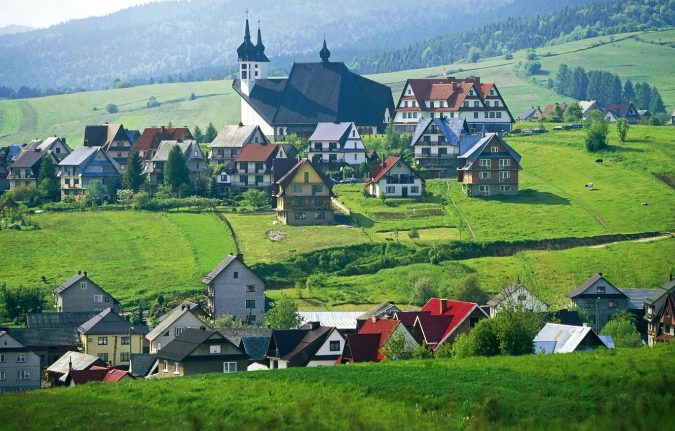 Photo wallpaper greens, grass, nature, home