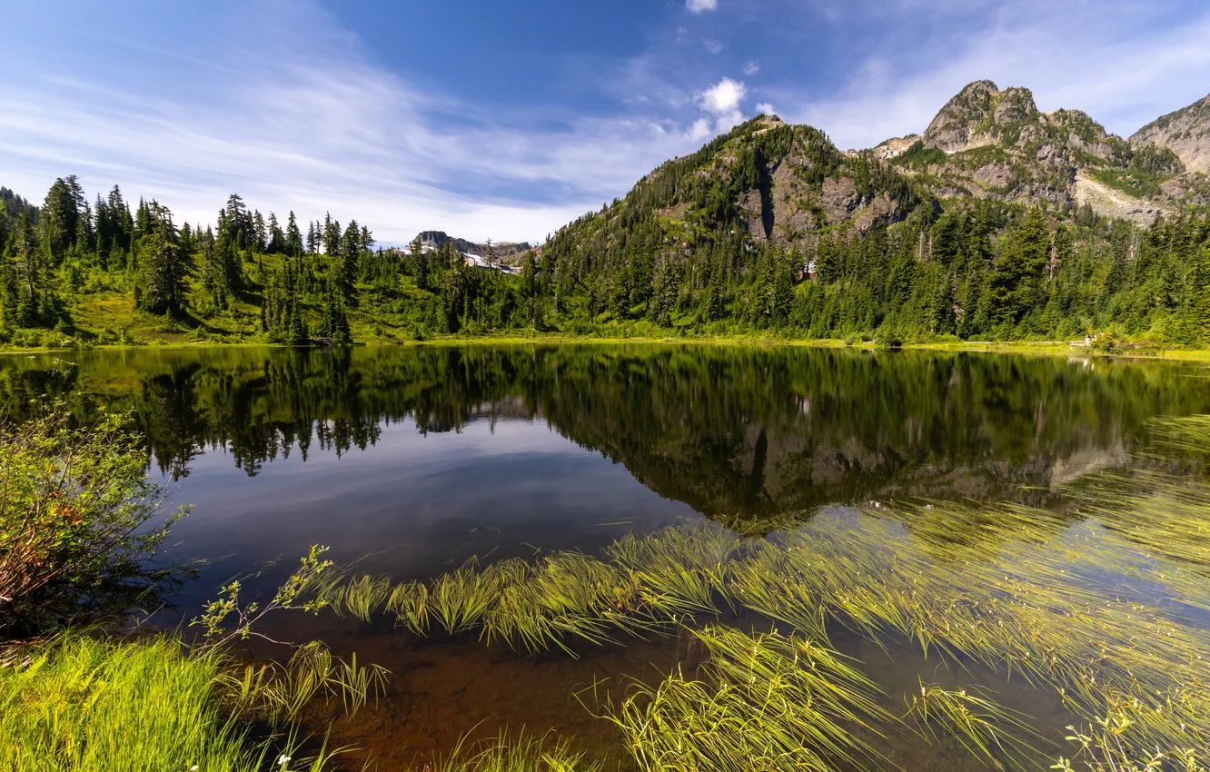 Photo wallpaper United States, Washington, Boundary