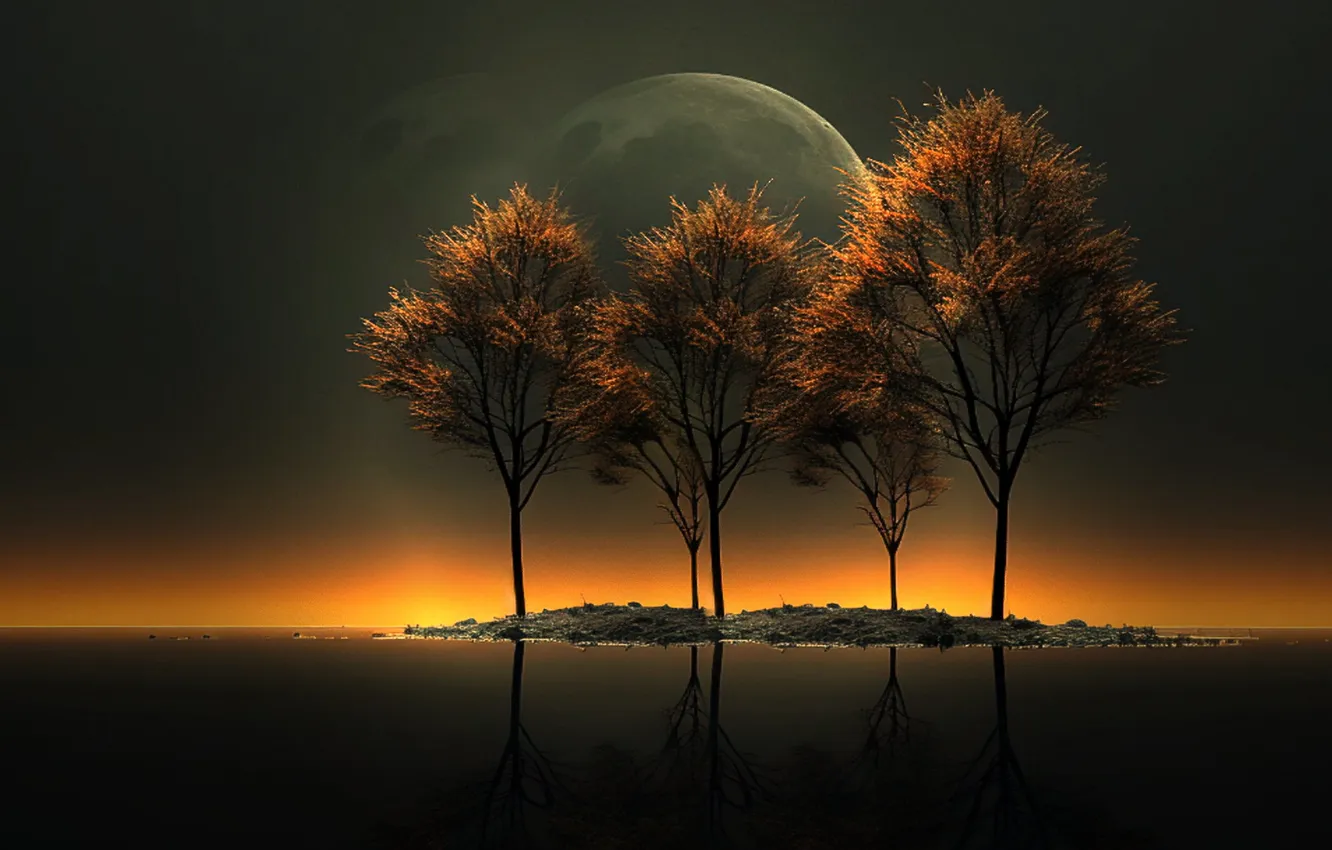 Photo wallpaper trees, collage, the moon, island