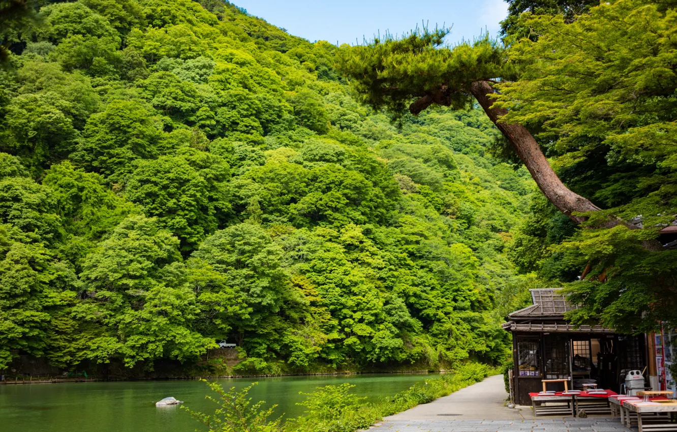 Photo wallpaper forest, lake, coast, Japan, Japan, Kyoto, Kyoto, coast
