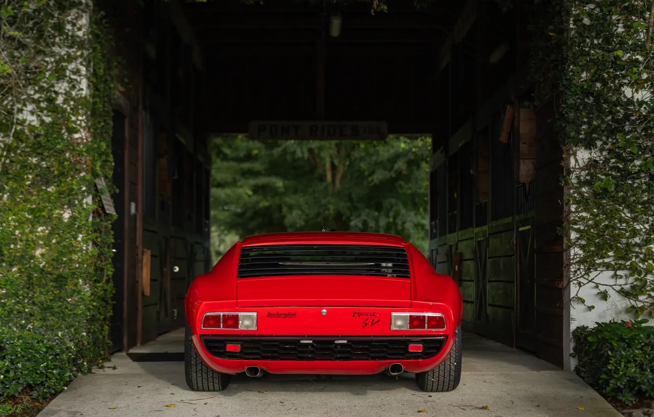 Photo wallpaper Lamborghini, 1971, lambo, Miura, rear view, Lamborghini Miura P400 SV