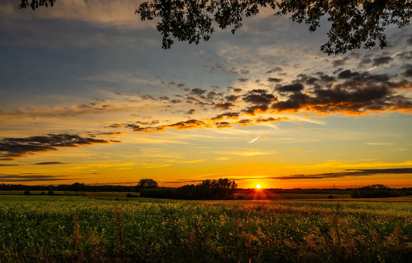 Photo wallpaper summer, sky, landscape, sunset, Wallpaeprs