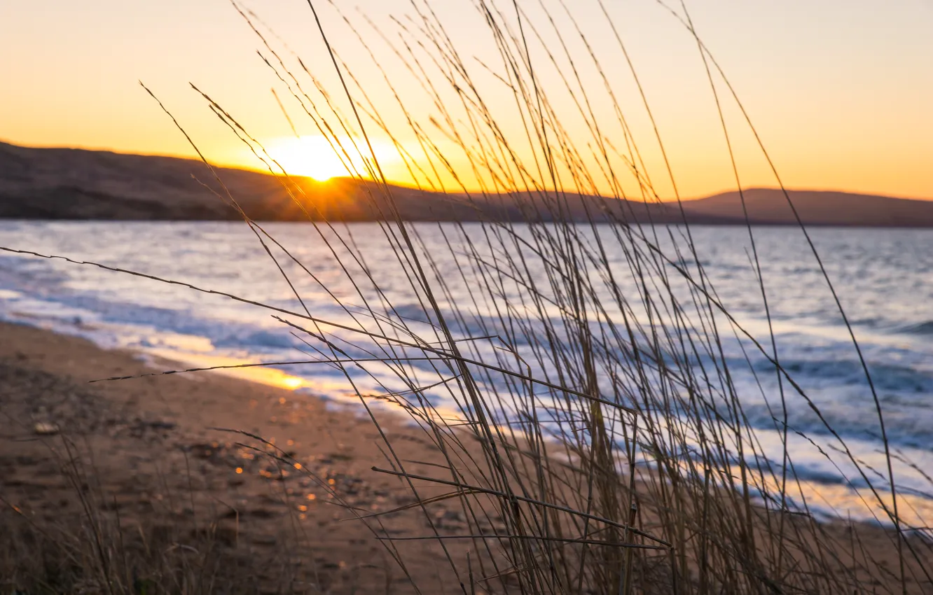 Photo wallpaper sea, the sun, stones, dawn