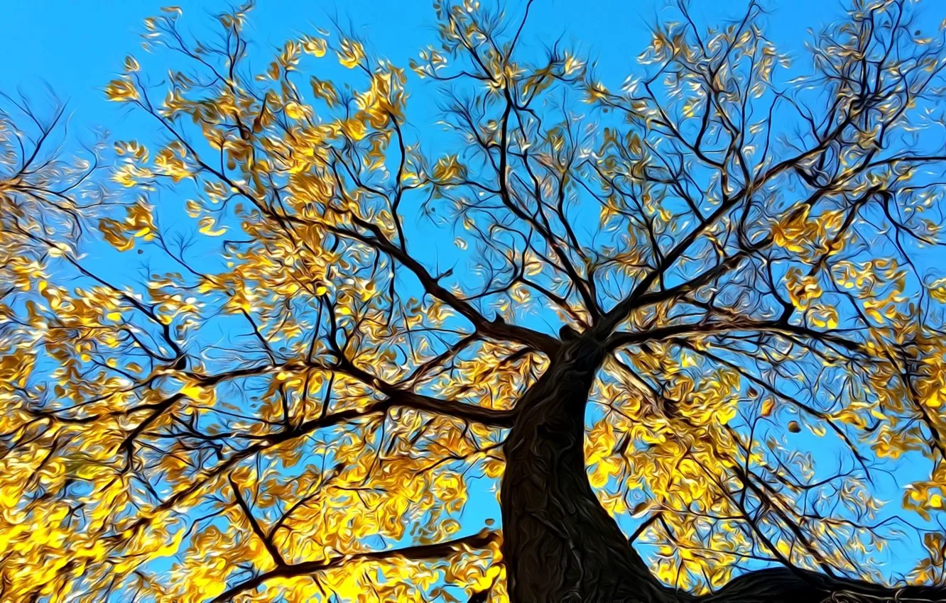 Photo wallpaper autumn, the sky, rendering, tree, branch, foliage