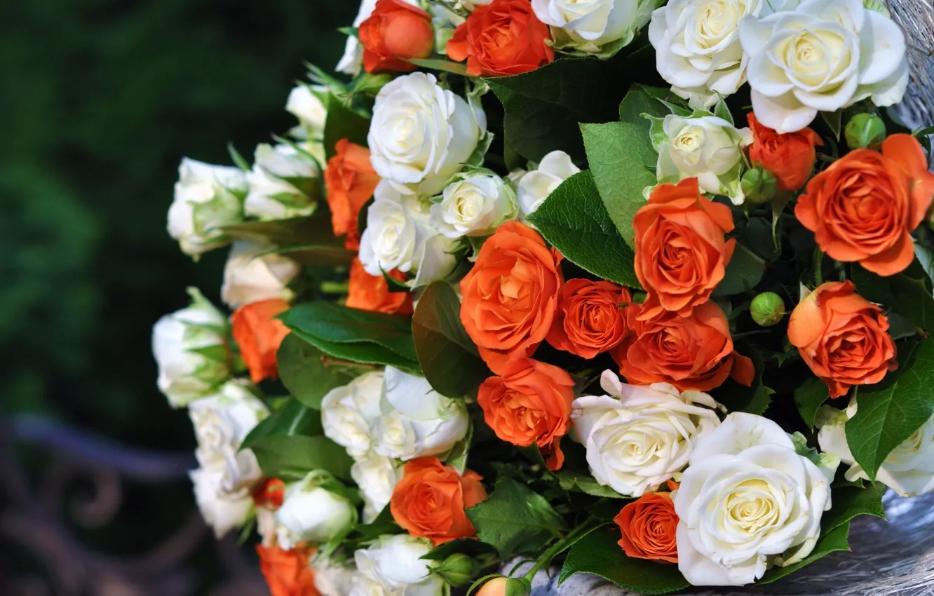 Photo wallpaper flowers, orange, white, buds, a bouquet of roses