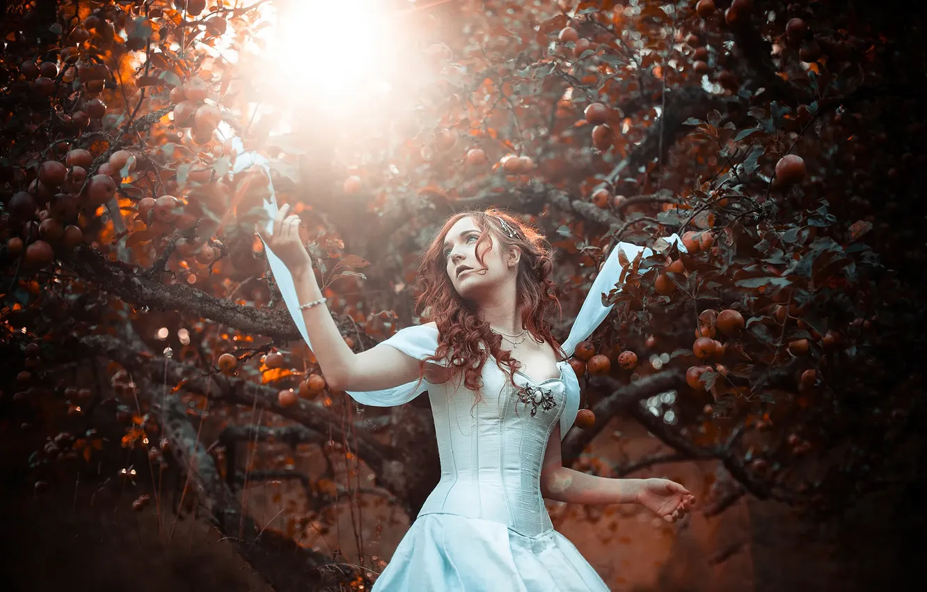 Photo wallpaper girl, apples, dress, Apple