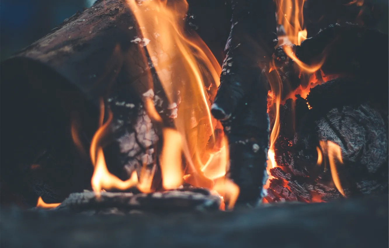 Photo wallpaper fire, the fire, wood, coal