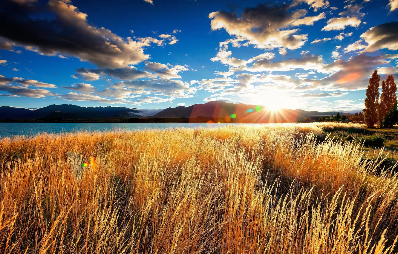 Photo wallpaper field, landscape, river, morning