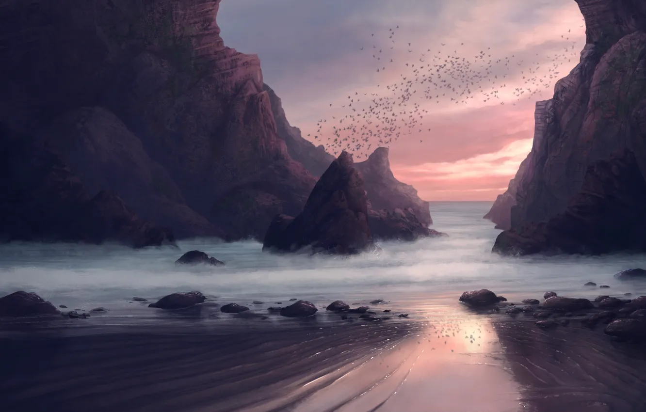 Photo wallpaper beach, landscape, sunset, rocks, birds, seaside, long exposure