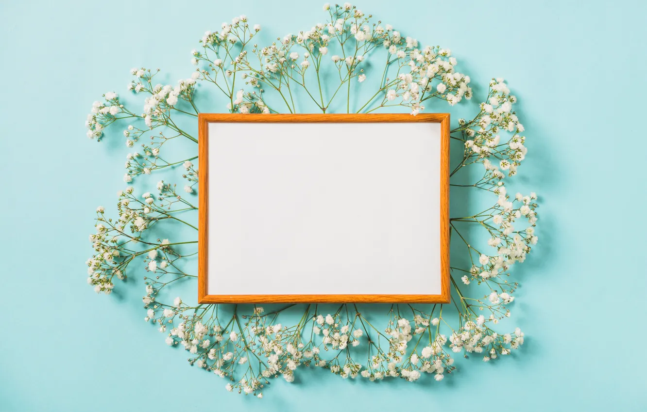 Photo wallpaper flowers, background, frame, white, white, flowers, spring, frame