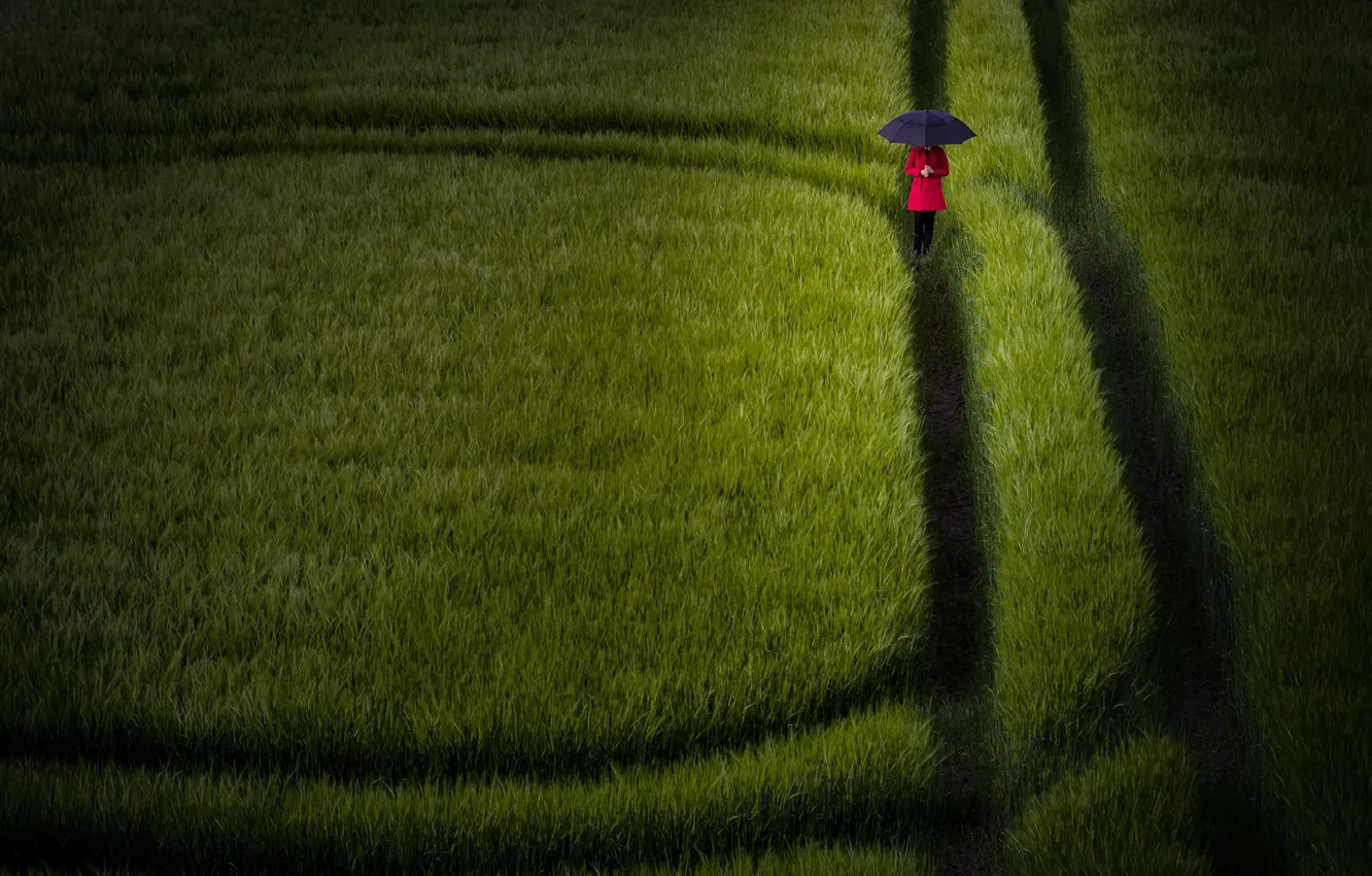 Photo wallpaper field, girl, umbrella