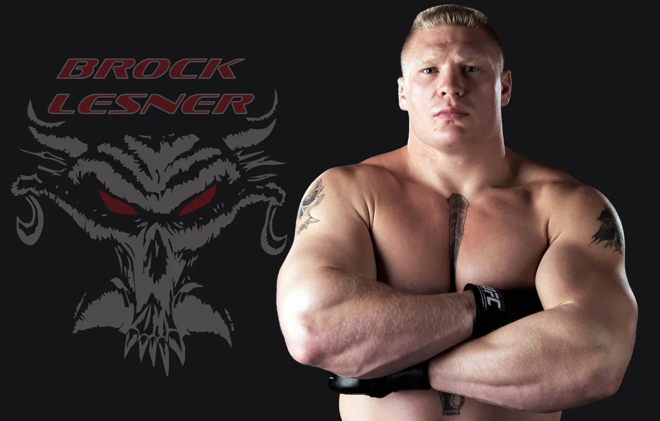 Photo wallpaper pose, beast, fighter, fighter, wrestler, tattoo, wrestlers, WWE