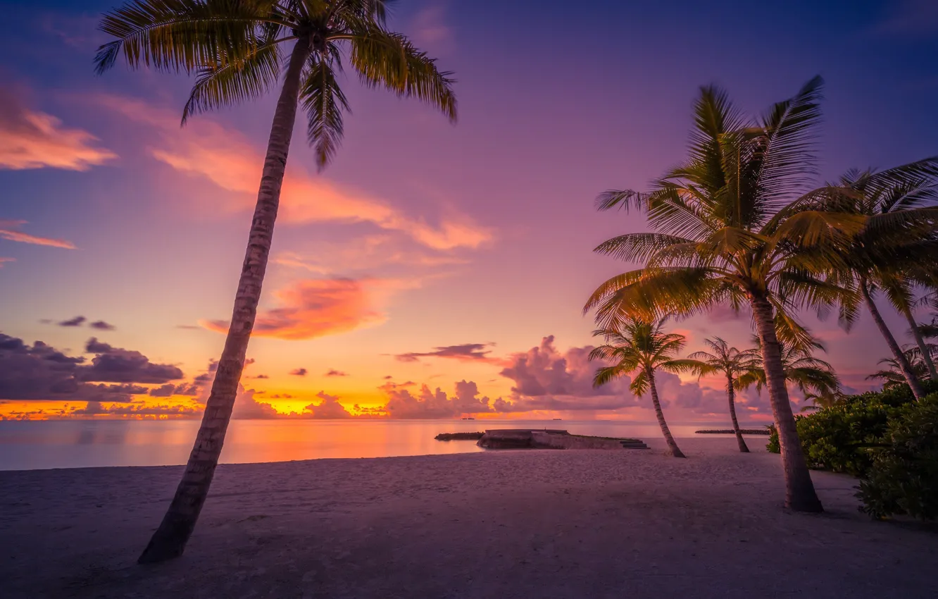 Photo wallpaper beach, sunset, palm trees, the ocean, The Maldives, Maldives, The Indian ocean, Indian Ocean