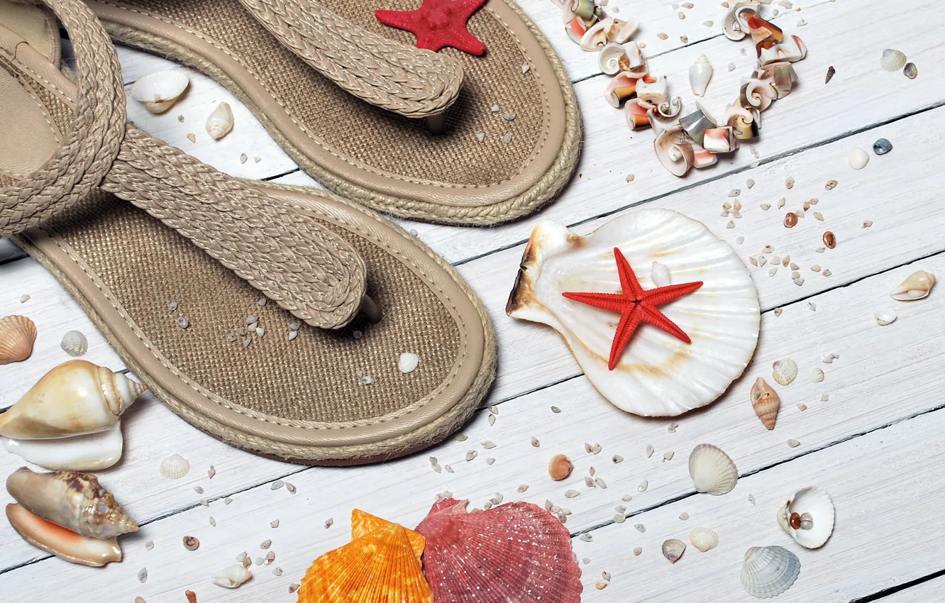 Photo wallpaper sea, summer, beads, shell, slates