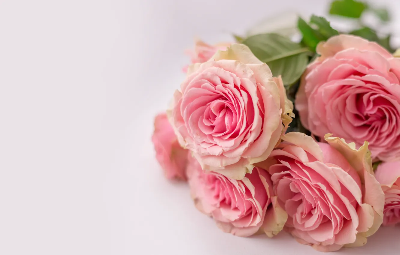 Photo wallpaper flowers, roses, bouquet, Yarovoy Aleksandr