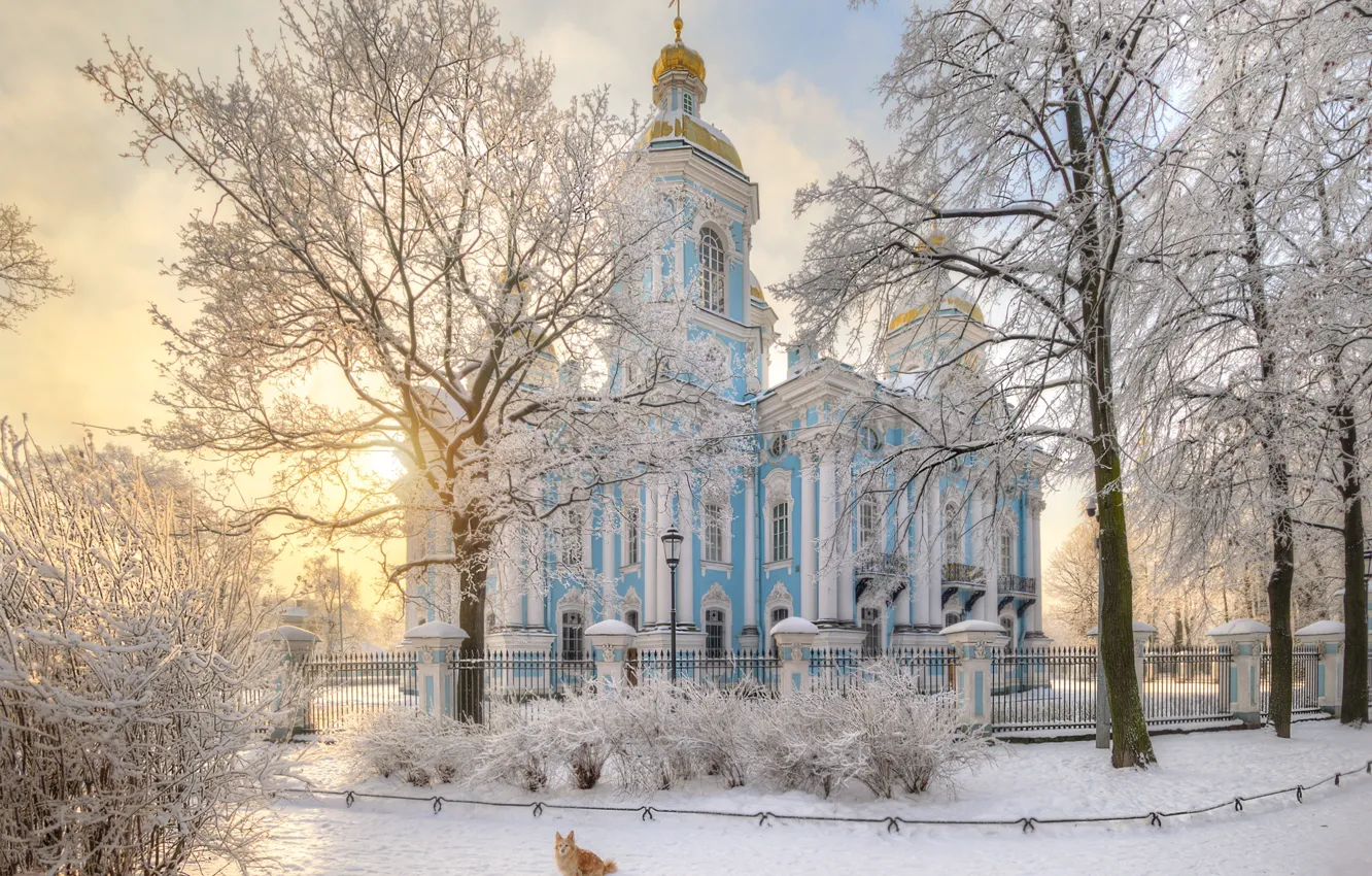 Photo wallpaper winter, frost, snow, trees, nature, dog, Saint Petersburg, Church