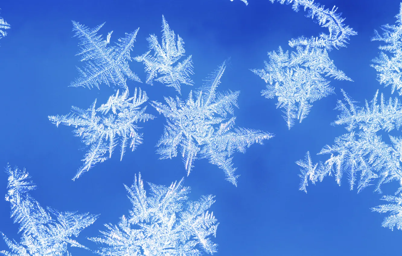 Photo wallpaper winter, frost, snowflakes, pattern, window, frost
