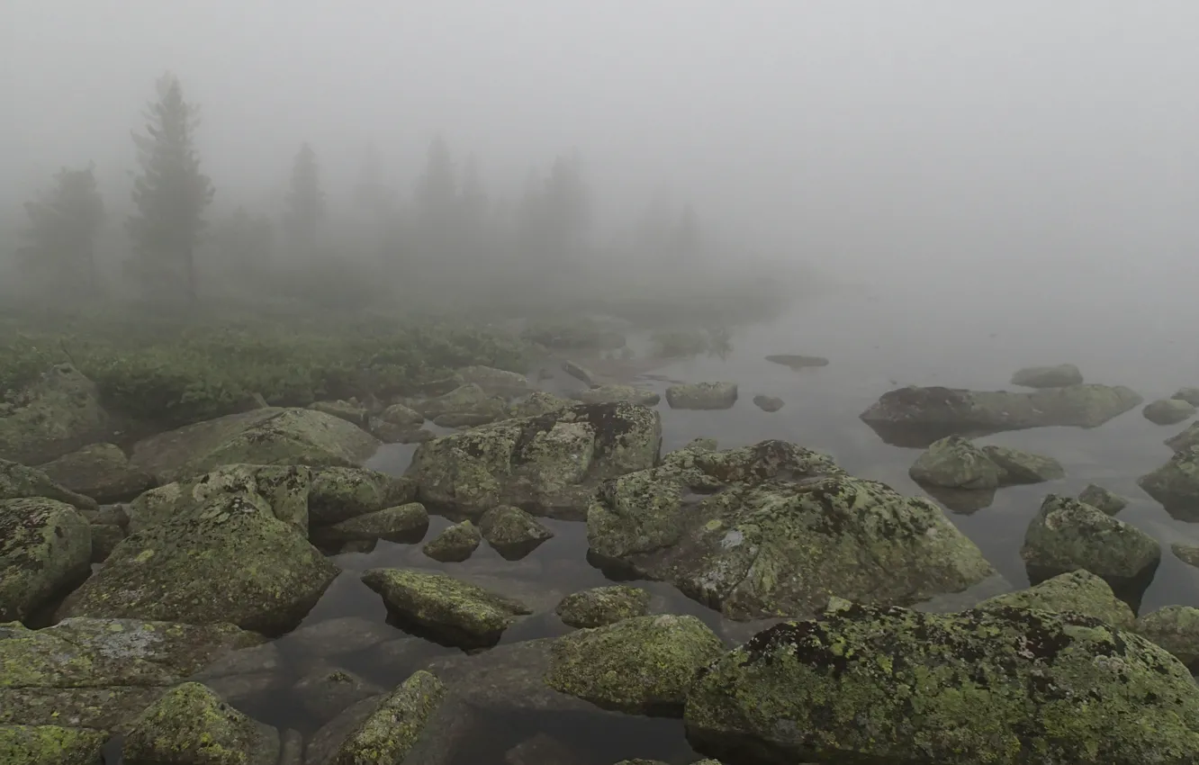 Photo wallpaper fog, lake, stones