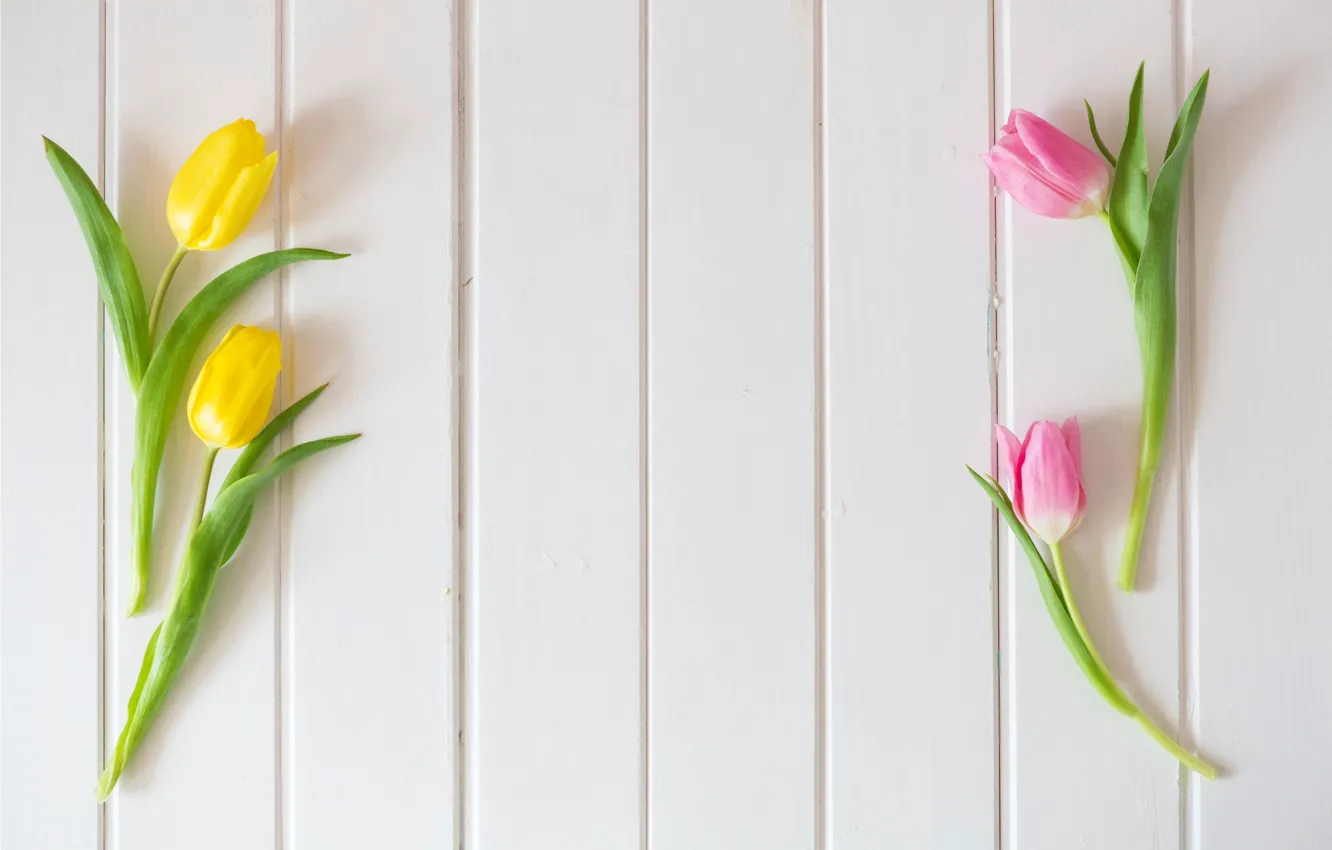 Photo wallpaper flowers, yellow, spring, tulips, pink, fresh, yellow, wood