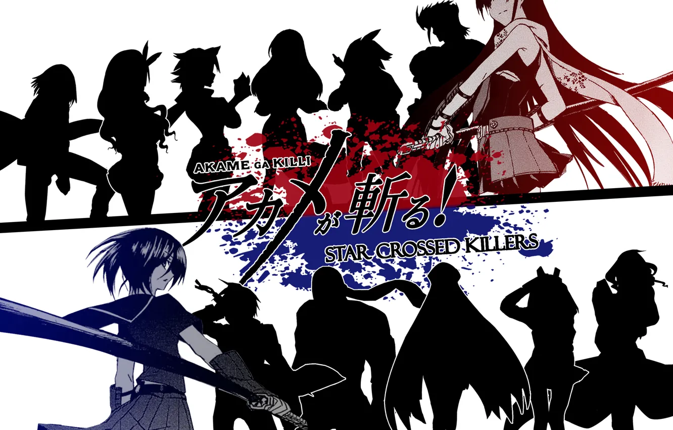 Photo wallpaper anime, Akame, Akame Ga Kill, ongoing2014.