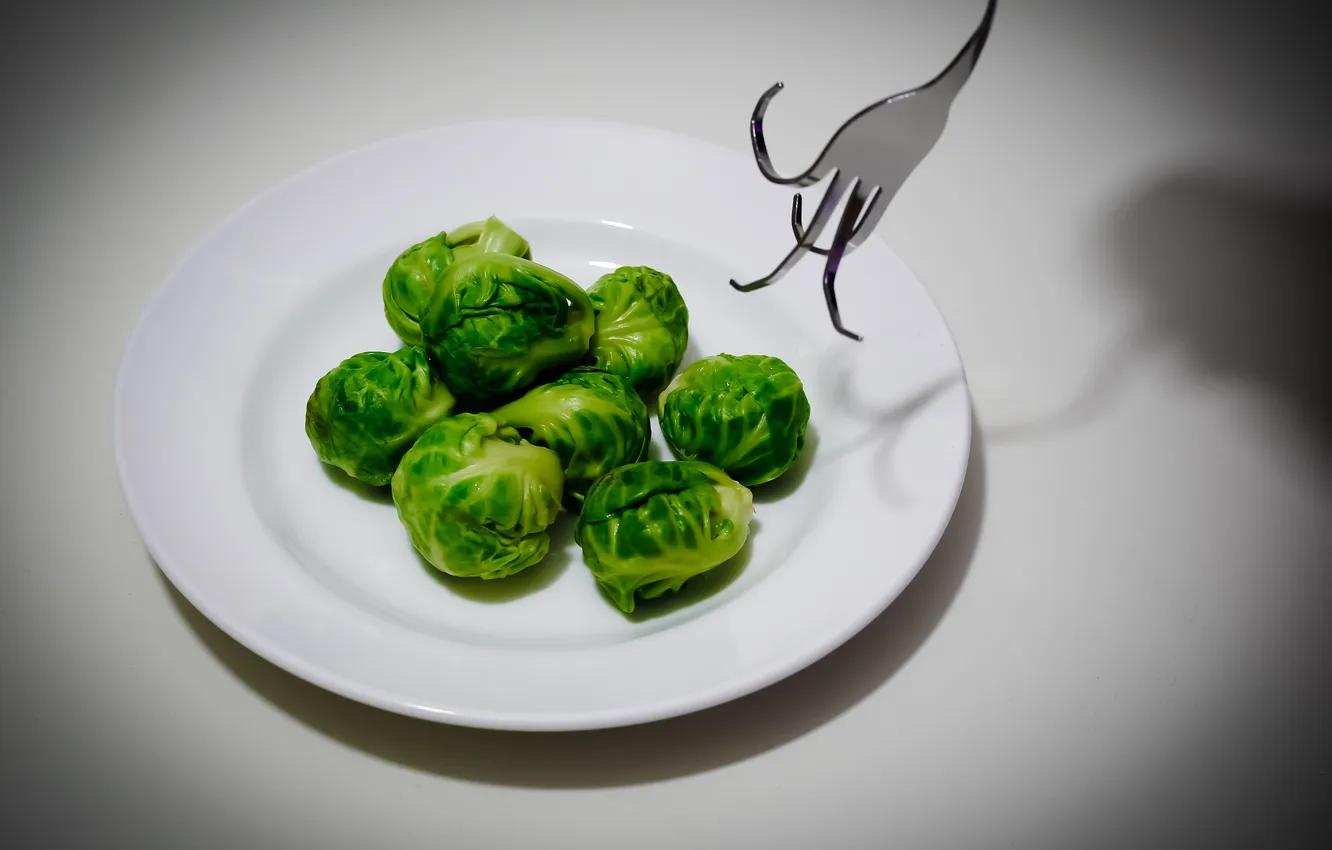 Photo wallpaper food, plug, Brussels sprouts