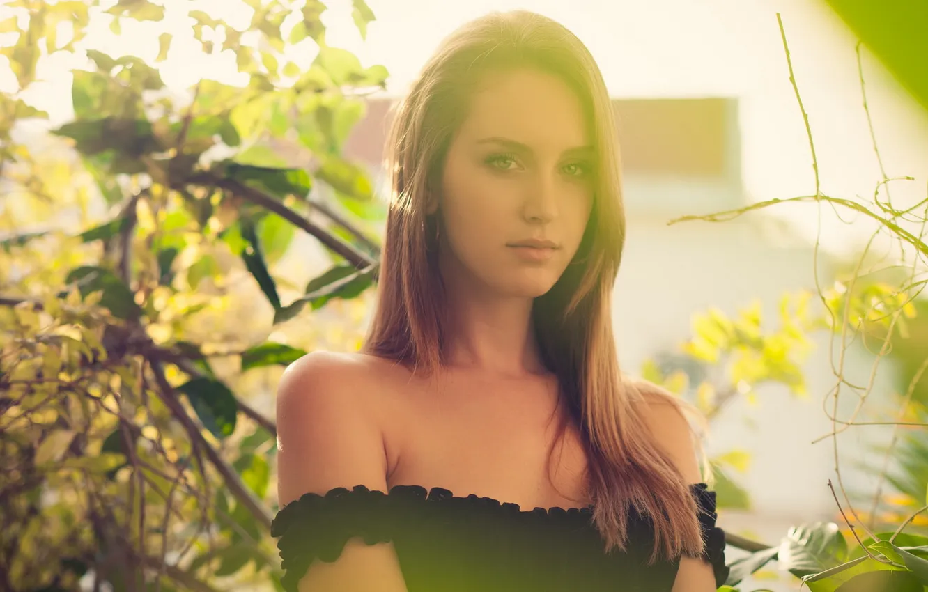 Photo wallpaper look, model, Jennifer Mastter