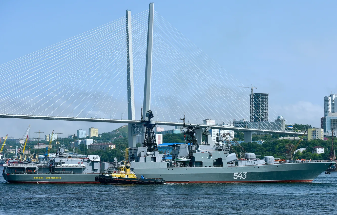 Photo wallpaper mooring, BOD, project 1155, Marshal Shaposhnikov