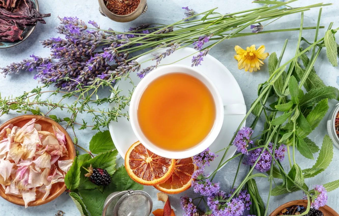 Photo wallpaper grass, orange, citrus, flowers, lavender, lilac, saucer, slices