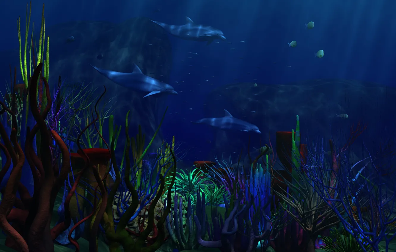 Photo wallpaper fish, the bottom, corals, dolphins
