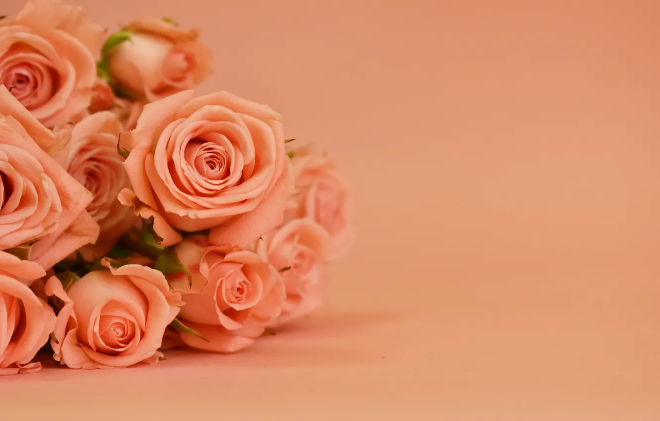 Photo wallpaper background, roses, bouquet, beautiful, Victoria Dunn