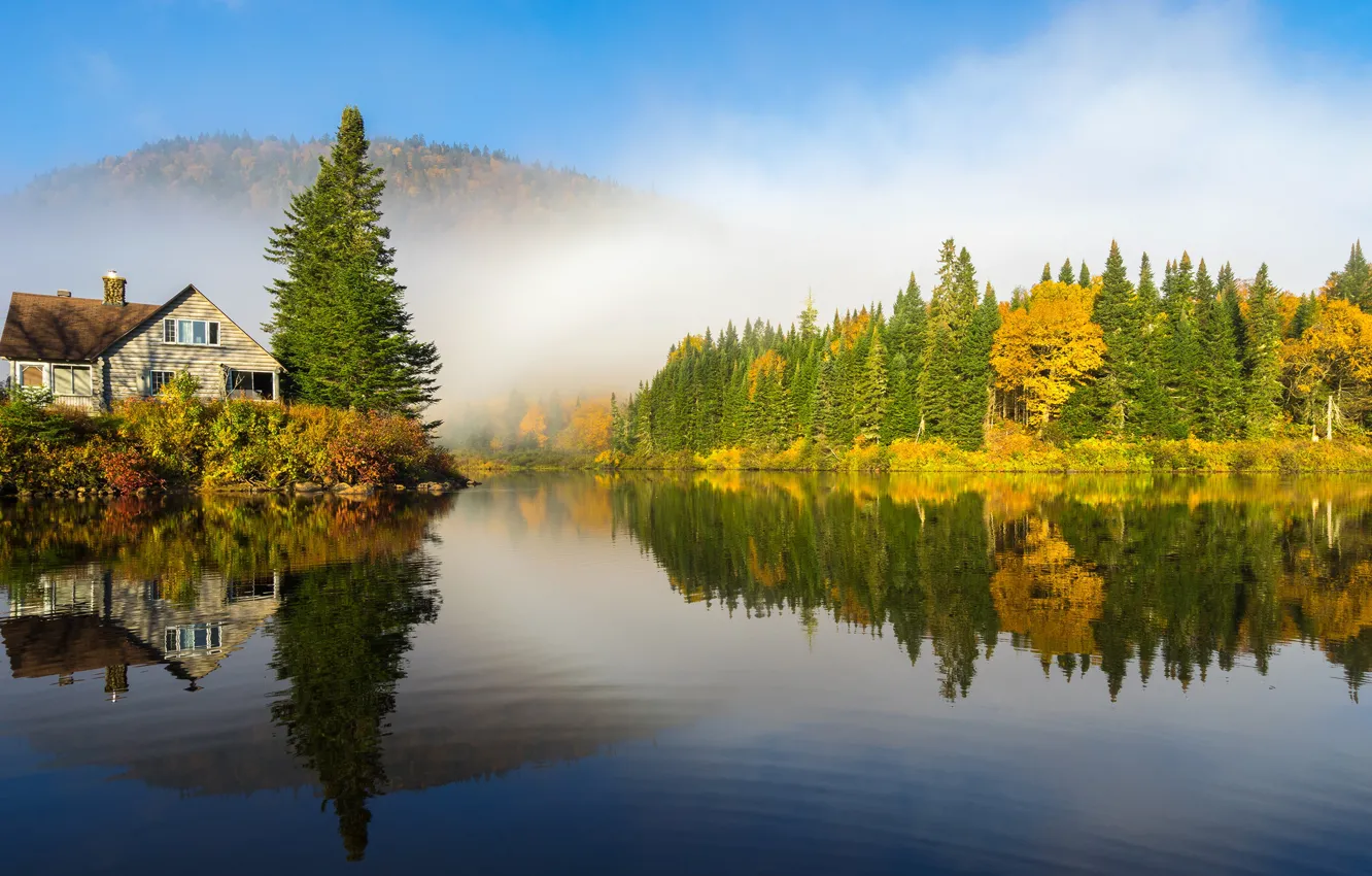Photo wallpaper autumn, forest, the sky, the sun, trees, mountains, fog, lake